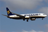 Alfonso Sols - Asociacin Canary Islands Spotting. Haz click para ampliar