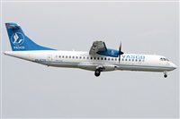 ©Alfonso Solís - Asociación Canary Islands Spotting. Click to see full size photo ©Alfonso Solís - Asociación Canary Islands Spotting. Click to see full size photo