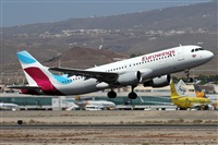 ©Alfonso Solís - Asociación Canary Islands Spotting. Click to see full size photo ©Alfonso Solís - Asociación Canary Islands Spotting. Click to see full size photo