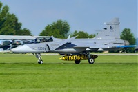 Tams. Click to see full size photo