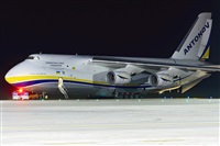 Tams. Click to see full size photo