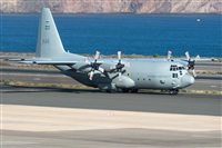 ©Adolfo Bento - Gran Canaria Spotters. Click to see full size photo ©Adolfo Bento - Gran Canaria Spotters. Click to see full size photo