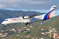 Miguel A. gueda Rguez.  (CANARY ISLANDS SPOTTING). Click to see full size photo