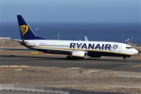 ©Alfonso Solís - Asociación Canary Islands Spotting. Click to see full size photo ©Alfonso Solís - Asociación Canary Islands Spotting. Click to see full size photo