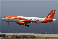 ©Alfonso Solís - Asociación Canary Islands Spotting. Click to see full size photo ©Alfonso Solís - Asociación Canary Islands Spotting. Click to see full size photo