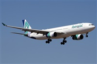 ©Alfonso Solís - Asociación Canary Islands Spotting. Click to see full size photo ©Alfonso Solís - Asociación Canary Islands Spotting. Click to see full size photo