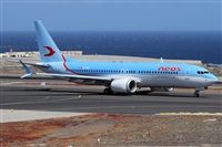 Alfonso Sols - Asociacin Canary Islands Spotting. Click to see full size photo