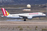 Miguel A. gueda Rguez.  (CANARY ISLANDS SPOTTING). Click to see full size photo