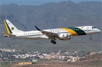 ©Adolfo Bento - Gran Canaria Spotters. Click to see full size photo ©Adolfo Bento - Gran Canaria Spotters. Click to see full size photo