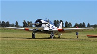 spotter arg. Click to see full size photo