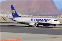 Miguel A. gueda Rguez.  (CANARY ISLANDS SPOTTING). Click to see full size photo
