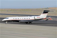 Miguel A. gueda Rguez.  (CANARY ISLANDS SPOTTING). Click to see full size photo