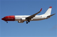 Alfonso Sols - Asociacin Canary Islands Spotting. Click to see full size photo