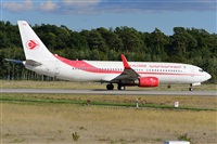 Miguel A. gueda Rguez.  (CANARY ISLANDS SPOTTING). Haz click para ampliar