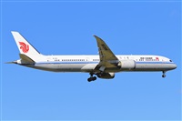 Miguel A. gueda Rguez.  (CANARY ISLANDS SPOTTING). Haz click para ampliar