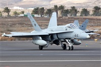 Adrin Alonso Lemes - Lanzarote Spotters. Click to see full size photo
