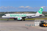 Miguel A. gueda Rguez.  (CANARY ISLANDS SPOTTING). Click to see full size photo