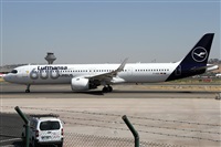 Alfonso Sols - Asociacin Canary Islands Spotting. Haz click para ampliar