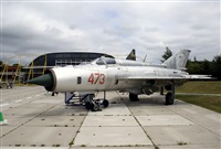 ©Javier Rodríguez. Click to see full size photo ©Javier Rodríguez. Click to see full size photo