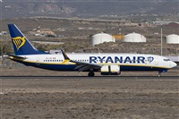 ©Ioan Alonso Gil. Click to see full size photo ©Ioan Alonso Gil. Click to see full size photo