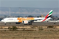 �Ricardo Aysa Calahorra -- Asociacion AIRE. Click to see full size photo