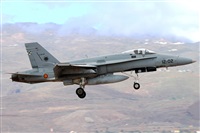 �Manuel Fernandez. Click to see full size photo