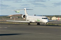 �Adolfo Bento - Gran Canaria Spotters. Click to see full size photo