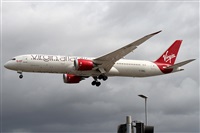 �Alfonso Sol�s - Asociaci�n Canary Islands Spotting. Click to see full size photo