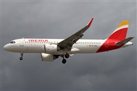 �Alfonso Sol�s - Asociaci�n Canary Islands Spotting. Click to see full size photo