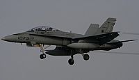 Galo Alcolea - Iberian Spotter / AIRE.ORG. Haz click para ampliar
