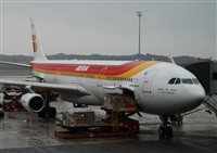 Rubn Gil - Noisy Spotters. Click to see full size photo