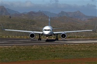 Ayoze Santana Mendez - Canary Islands Spotting. Click to see full size photo
