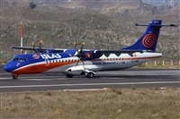 Ayoze Santana Mendez - Canary Islands Spotting. Click to see full size photo