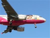 Justo Miguel Prieto. ( Malaga Spotters). Click to see full size photo