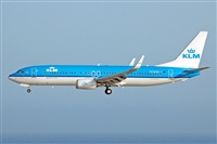 Miguel A. gueda Rguez.  (CANARY ISLANDS SPOTTING). Click to see full size photo
