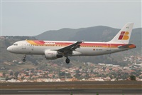 Alfonso Sols - Asociacin Canary Islands Spotting. Click to see full size photo