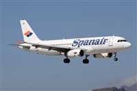 Alfonso Sols - Asociacin Canary Islands Spotting. Click to see full size photo