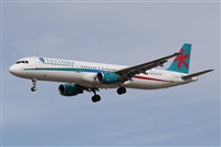 Alfonso Sols - Asociacin Canary Islands Spotting. Click to see full size photo