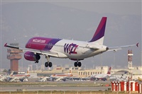 Jos Miguel Bernases - Noisy Spotters. Click to see full size photo