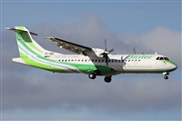 Alfonso Sols - Asociacin Canary Islands Spotting. Click to see full size photo