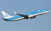 Rubn Gil - Noisy Spotters. Click to see full size photo