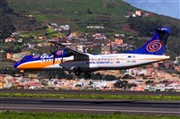 Javier de la Cruz - CANARY ISLANDS SPOTTING. Click to see full size photo