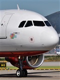 Manuel Noisy Spotters. Click to see full size photo