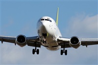 Rodrigo Carvalho - Noisy Spotters. Click to see full size photo
