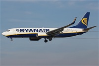 Rodrigo Carvalho - Noisy Spotters. Click to see full size photo