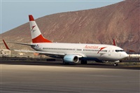 Javier de la Cruz - CANARY ISLANDS SPOTTING. Click to see full size photo