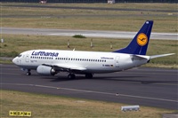 Javier de la Cruz - CANARY ISLANDS SPOTTING. Click to see full size photo