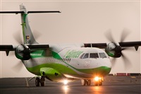 Javier de la Cruz - CANARY ISLANDS SPOTTING. Click to see full size photo