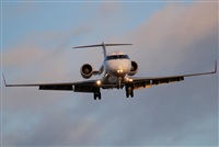Rodrigo Carvalho - Noisy Spotters. Click to see full size photo
