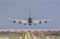 Miguel A. gueda Rguez.  (CANARY ISLANDS SPOTTING). Click to see full size photo